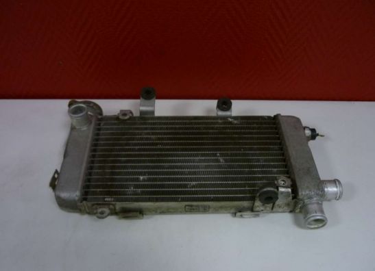 Radiator Honda VTR 1000 F