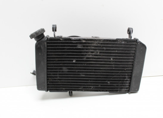 Radiateur Suzuki SV 650