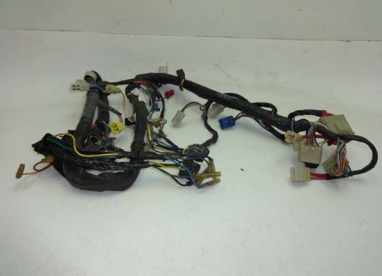 Wire Harness Yamaha FZR 400