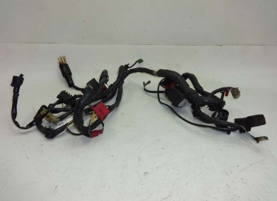 Wire Harness Honda CBR 1000 F
