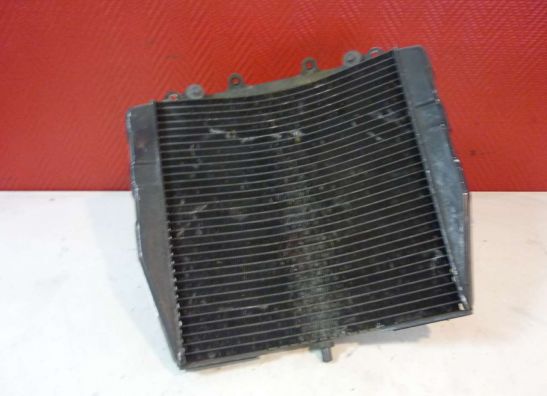 Radiator Suzuki GSX R 750