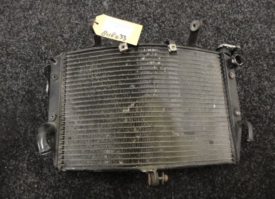 Radiator Yamaha YZF R1