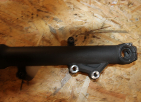 Voorpoot links compleet Kawasaki ER 6