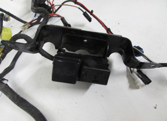 Wire Harness Suzuki GSX F 600