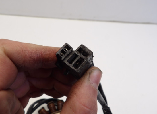 Lichtmaschine Kawasaki EL 250