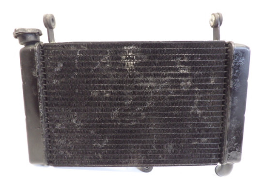 Kuhler Yamaha FZR 600