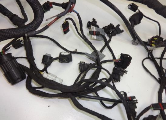 Wire Harness BMW F 800 S - ST