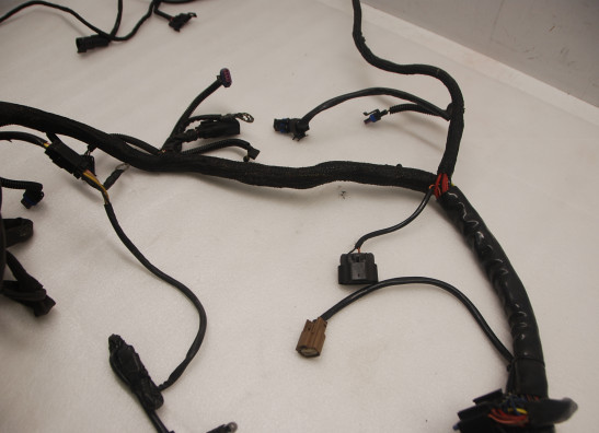 Kabelboom Harley Davidson VROD VRSC