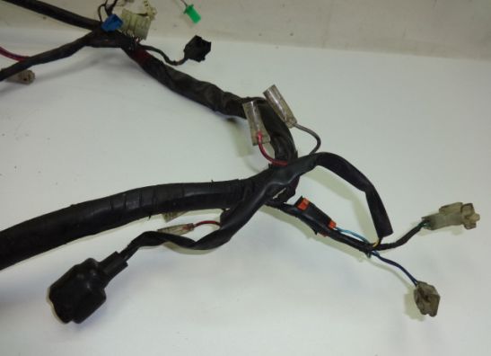 Wire Harness Yamaha FAZER 600