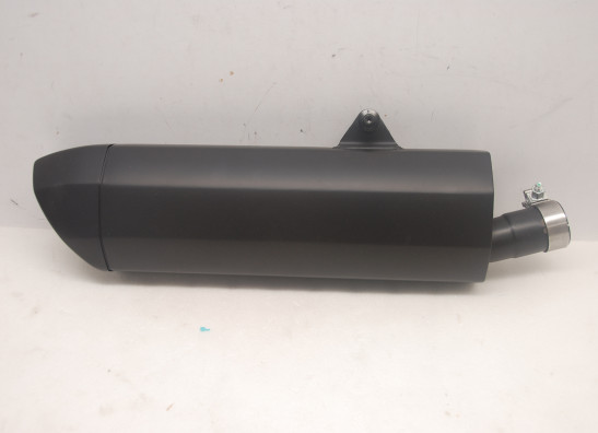 Auspuff Harley Davidson Pan America