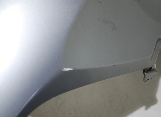 Tankschutz BMW R 1200 GS