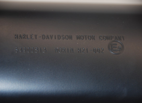 Auspuff Harley Davidson Pan America