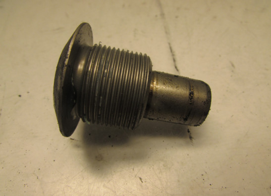 Hinterradschwinge BMW R 850 R