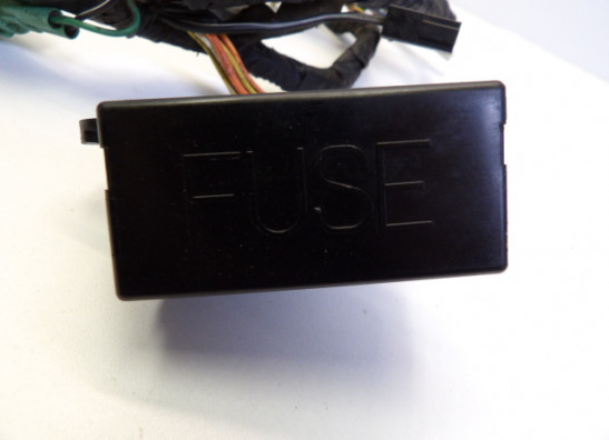 Wire Harness Suzuki RF 900