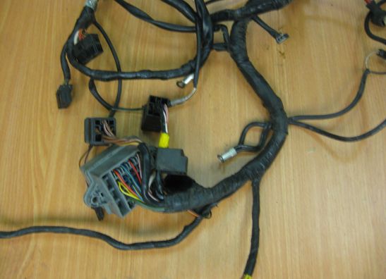 Wire Harness Triumph TT 600