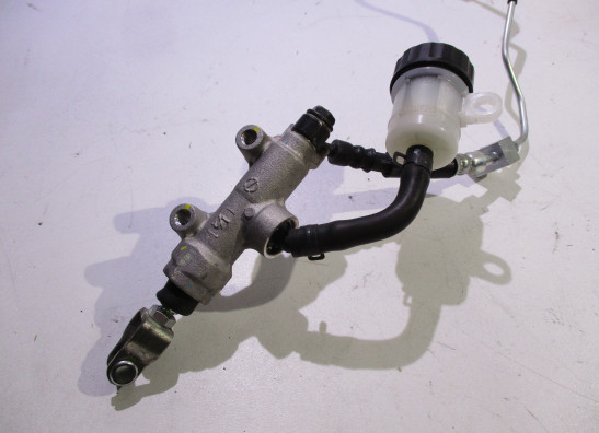 Linker zijkuip klein Kawasaki Z 900