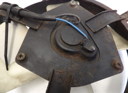 Fan Kawasaki ZZR 1100