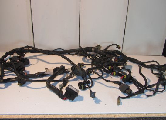 Kabelboom Moto Guzzi Norge