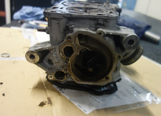 Cilinderkop BMW F 800 S - ST