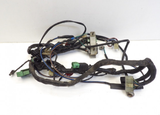 Wire Harness Honda Goldwing GL