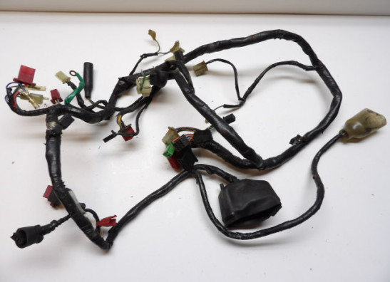 Wire Harness Honda CBR 600 F