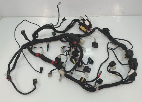 Kabelboom Aprilia Shiver 750 2008-2010