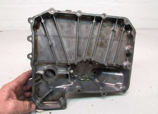 Carterpan Kawasaki Z 1000