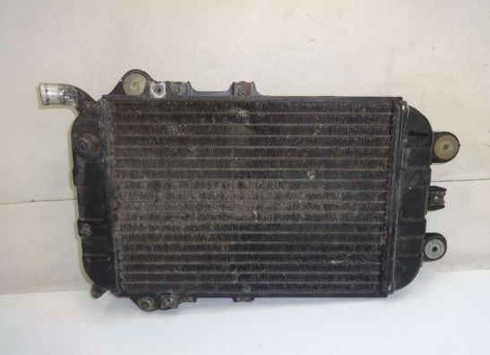 Radiator Kawasaki VN 700  750