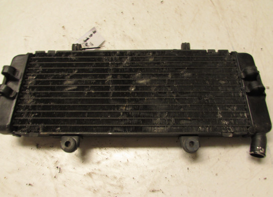 Radiator Honda CBR 600 F