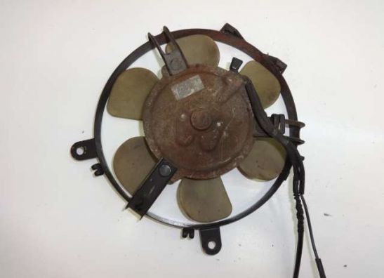 Lufter Honda CBR 1000 F