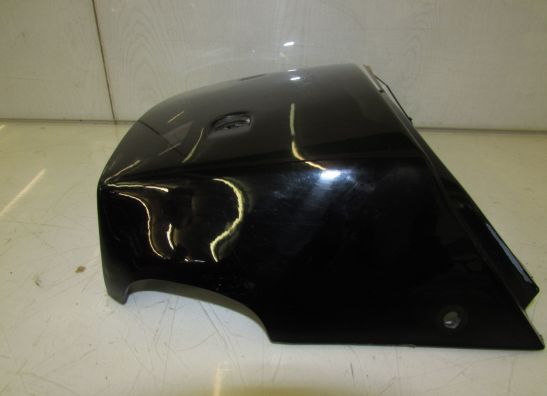 Heck Triumph Tiger 900