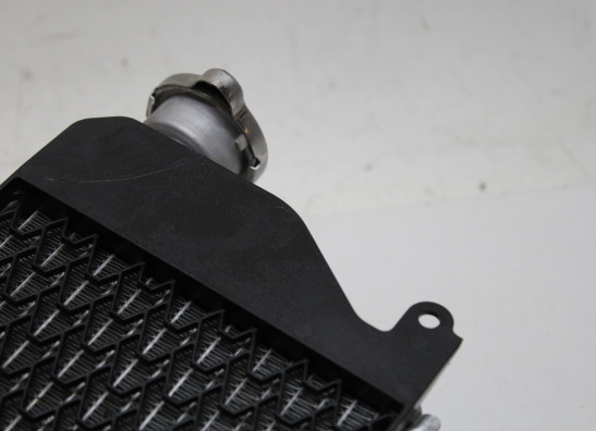 Radiateur Honda CRF 1100L Africa Twin Adventure Sports ES