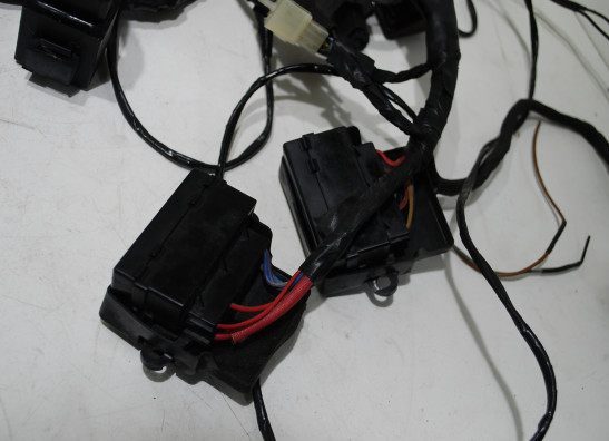 Kabelboom Yamaha GTS 1000