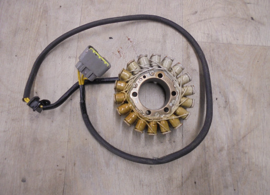 Dynamo Ducati Monster 1200