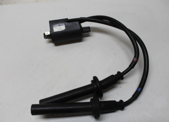Bobine Yamaha FAZER 1000