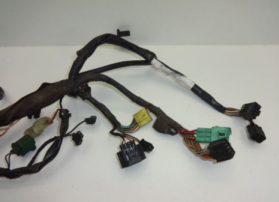 Wire Harness Suzuki DL 1000 V STROM