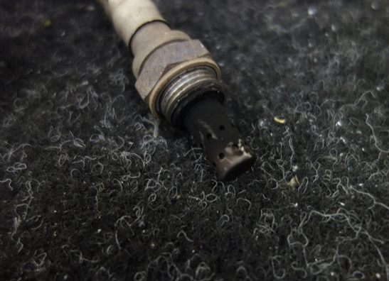 Lambdasonde Honda CBR 600 RR