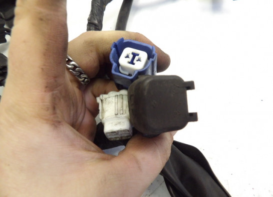 Wire Harness Suzuki GSF 650 Bandit