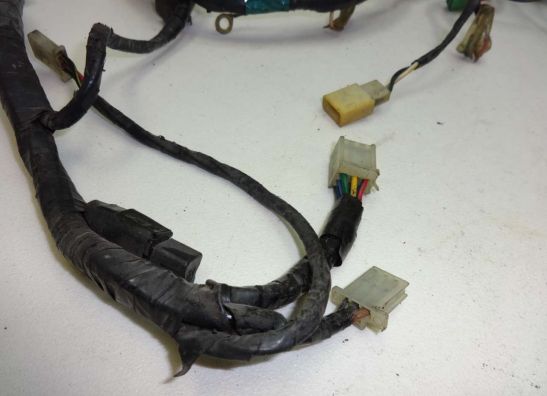 Wire Harness Kawasaki ZZR 600