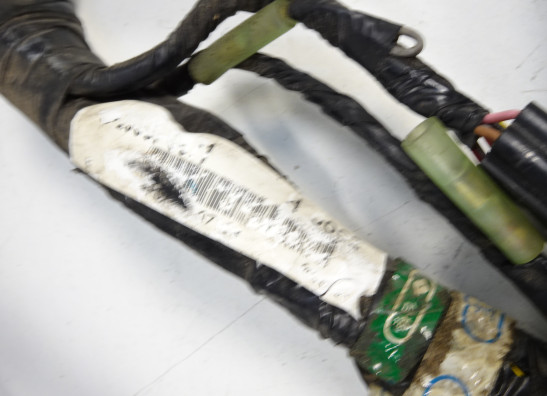 Kabelbaum Kawasaki ER 6