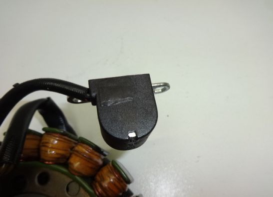 Lichtmaschine Suzuki LS 650