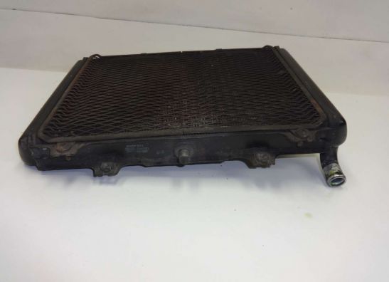 Kuhler Kawasaki GPX 600