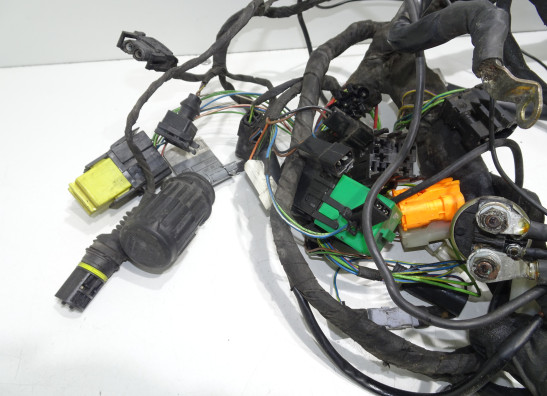 Kabelboom BMW F 650 GS