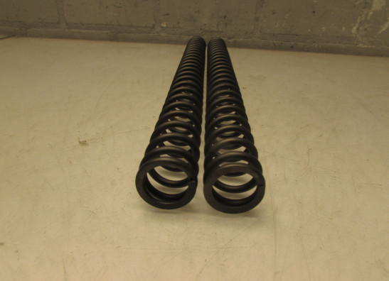 Voorpoten Kawasaki ZZR 1100