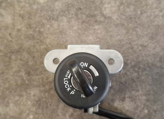 Contact slot Ducati Monster 797