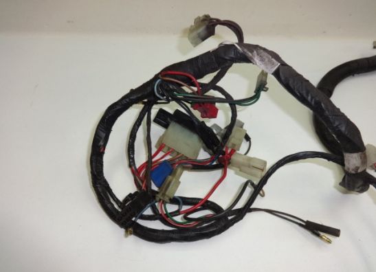 Kabelbaum Yamaha FZ 750