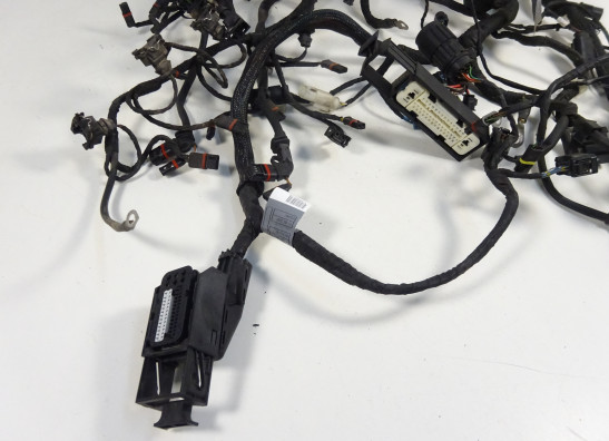 Kabelbaum BMW K 1200 R 