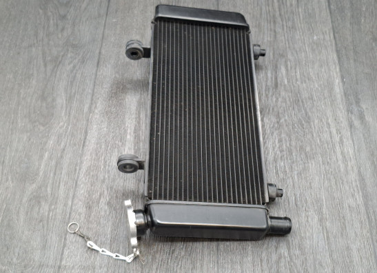 Kuhler CFMoto 650 MT