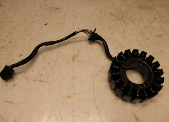 Dynamo Kawasaki ER 6