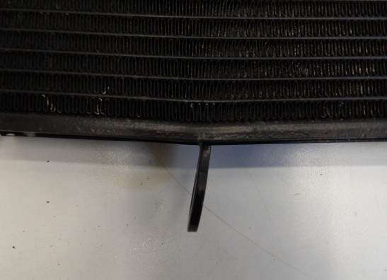 Kuhler Kawasaki Z 1000